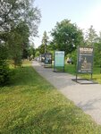 Bělský les - Muzeum jde do ulic