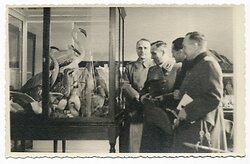 Návštěvníci v zoologické expozici, 1939-1942