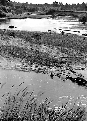 Soutok řeky Odry s Ondřejnicí, Proskovice, foto Rudolf Janda, kolem 1965, archív AOPK ČR